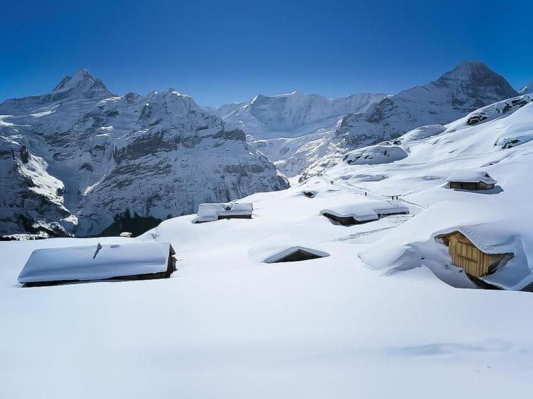 Chalet Aphrodite West Apartment Grindelwald Ngoại thất bức ảnh